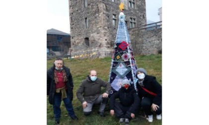 L’Albero dei Desideri nel prato in via Torre del Lebbroso