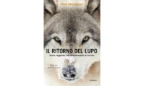 “Il ritorno del lupo”, arriva nelle librerie l’ultimo romanzo di Aimé Maquignaz