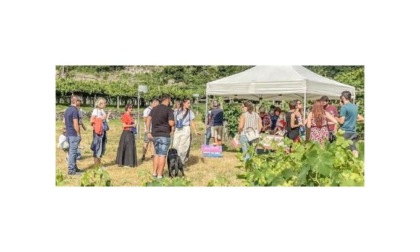 Vini in Vigna, buona la prima Sabato 7 agosto evento ad Aosta