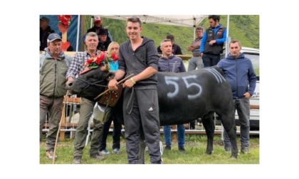 Batailles de reines, nell’arena di Breuil Cervinia le campionesse sono Marseille, Ironie e Negro