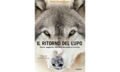 “Il ritorno del lupo”, il libro viene presentato a Cervinia e ad Aosta