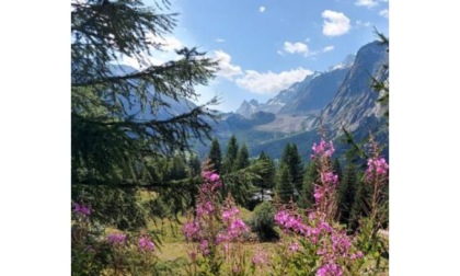 Val Veny tour, al cospetto del Monte Bianco