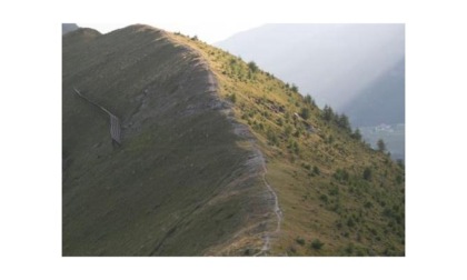 Cambiamenti climatici: le piante risalgono le montagne e colonizzano progressivamente le aree di alta quota