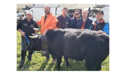 Dopo la Fiera del bestiame, Valpelline accoglierà la desarpa e l’assemblea dei Vigili del Fuoco volontari