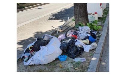 Una discarica a cielo aperto in via Lexert