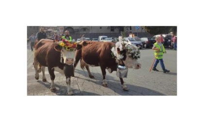 Issogne ha celebrato il rito della dézarpa