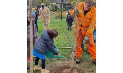 A Tavagnasco i bimbi delle scuole piantano un faggio “Per stimolare la cura verso il pianeta in cui vivono”