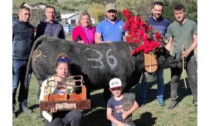 A Quart la battaglia di Pasquetta incorona Papillon, Texas e Negrò