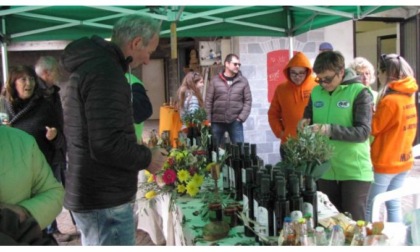 A Settimo la ventesima edizione della Sagra delle olive e dell’olio