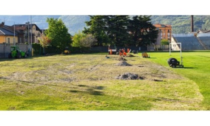 Iniziati i lavori per piantare 13 alberi nello stadio Puchoz che diventerà parco