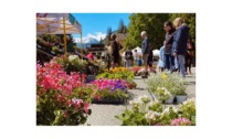 Colori e profumi di primavera alla manifestazione “Fiorantey”