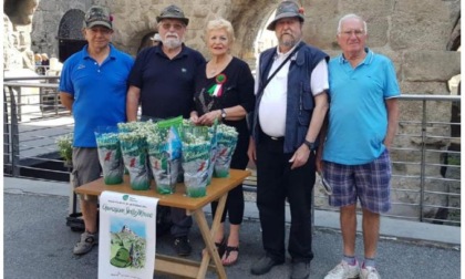 Operazione Stella Alpina, bilancio soddisfacente Domenica la commemorazione del Monte Cervino