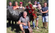 A Marmotta, Pistache e Tormenta i bosquets della prima eliminatoria estiva al Col de Joux