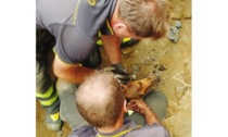 Cane bloccato per sei ore in un tubo di drenaggio a Pontboset