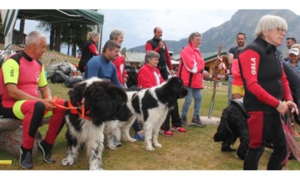 La terza edizione del “Torgnon Dog Day” ha coinvolto grandi e piccoli