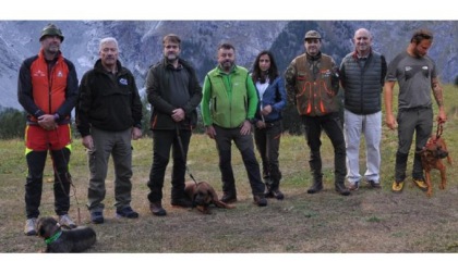 Campionato mondiale dei bassotti da caccia: valdostani in evidenza a Courmayeur