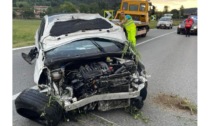 Cinque cinghiali attraversano la Statale, incidente choc a Borgofranco: miracolosamente illeso l’autista