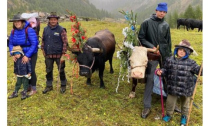 Bionaz, la désarpa chiude in festa l’estate più difficile Egidio Jordaney: “Scesi da 800 a 500 forme di Fontina”