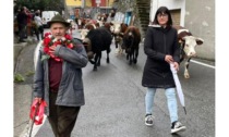 Champdepraz ha fatto festa per la désarpa di Silvio Foy