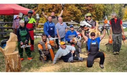 Corso di scultura con la motosega con Enrico Melato di Montjovet