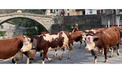 E’ tempo di désarpe: a Pont quella dei Peretto, a Verrès quella della famiglia Fassin-Vuillermin