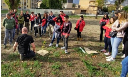 È stato avviato in via Paravera ad Aosta un intervento di forestazione urbana