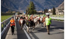 Da Estoul a Pont-Saint-Martin: la désarpa di Gianni Peretto