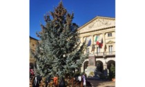 In piazza Chanoux ad Aosta è arrivato l’albero di Natale