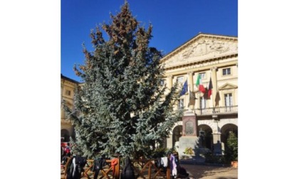 In piazza Chanoux ad Aosta è arrivato l’albero di Natale