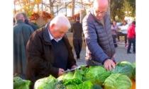 Che successo per la Sagra del Cavolo: stimate 10mila presenze