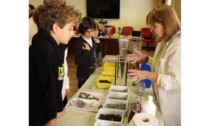 «Il suolo: dove comincia l’alimentazione», laboratori per gli studenti delle elementari e medie di Aosta