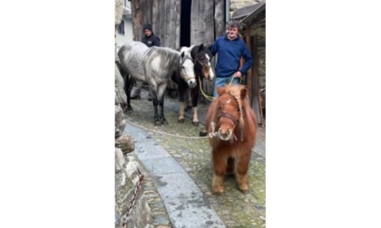 Arnad ha celebrato Sant’Antonio “Festa nel segno della tradizione”