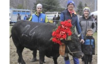 Moudzon, i primi bosquet conquistati a Donnas da Bronne, Mandoline e Trionfa