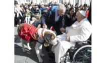 Da Papa Francesco in udienza Magnum il San Bernardo che salva vite e anime