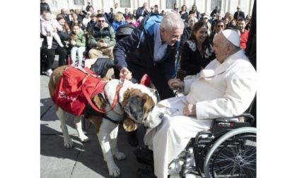 Da Papa Francesco in udienza Magnum il San Bernardo che salva vite e anime