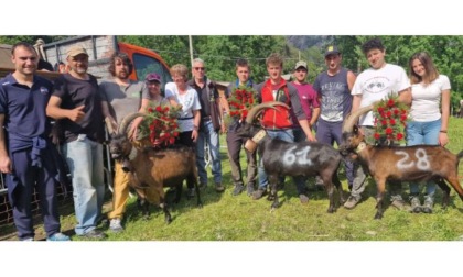 Chèvres della bassa Valle: Birba, Magnin e Falia prime regine