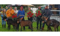 Frisette, Petite Fleur e Promise regine a Pont-Saint-Martin