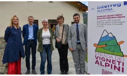 Sei itinerari alla scoperta dei paesaggi del vino Concluso il progetto “Route des vignobles alpins”