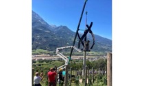 Fondazione Ollignan, installata la turbina per la serra di orchidee