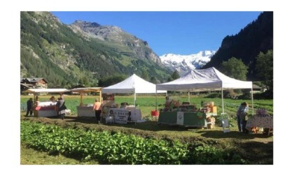 Il Samstag Märt di Gressoney-Saint-Jean entra a fare parte della rete dei Mercati della Terra di Slowfood: oggi, sabato 29, l’inaugurazione