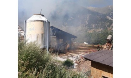 Azienda agricola devastata da un rogo