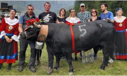 Dopo Cervinia a Ferragosto, tocca a Bionaz Un altro debutto per le batailles de reines