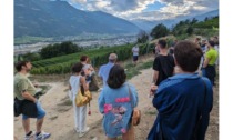 Grande successo dei TraMonti diVini di Grosjean Vins per l’estate 2023