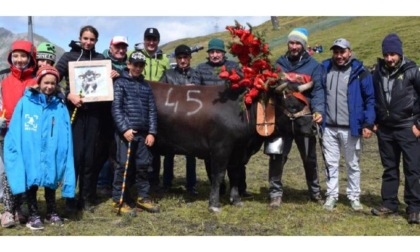 Il Ferragosto delle reines è a Breuil Cervinia E’ una novità anche l’eliminatoria di Bionaz