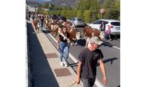 Desarpa nel ricordo del mitico Anti Joux