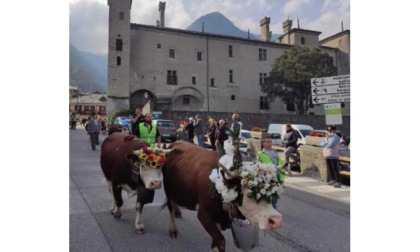 A Issogne la sfilata degli allevatori per la Dézarpa Una bella festa sabato scorso, 21 ottobre, in paese