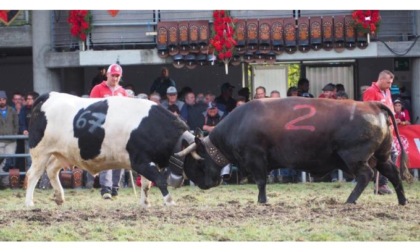 Bandit, Malice e Farchetta conquistano la Croix-Noire Due novità e una conferma alla 66esima Regionale