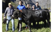 Dal gotha dello sport alla finale delle reines I fratelli Baudin nell’arena con la loro Venus