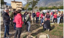 Fallito il progetto di forestazione urbana sul terreno in via Paravera