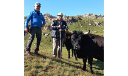 Solo Falchetta potrà difendere il titolo regionale Assenti alla finalissima le regine Bataille e Rubis